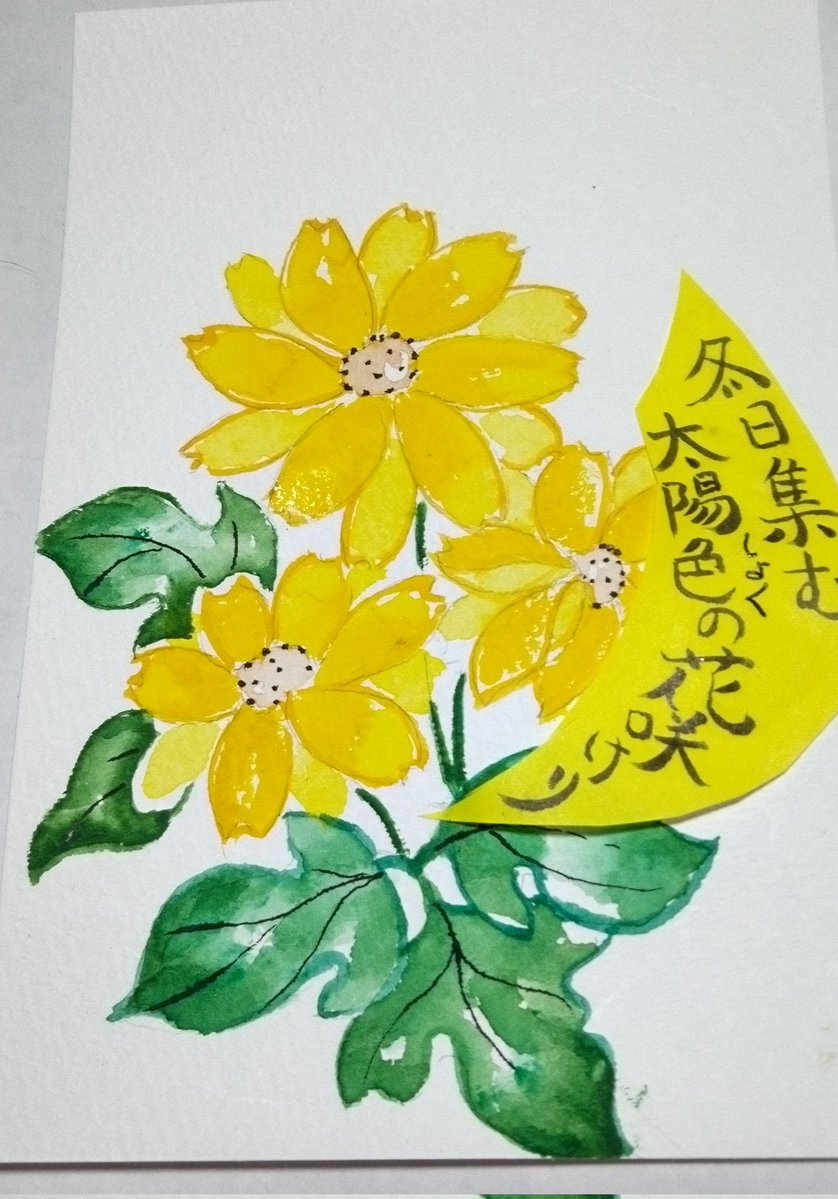 花屋さんで買いました。育てて咲かせた花ではありません。黄色の花