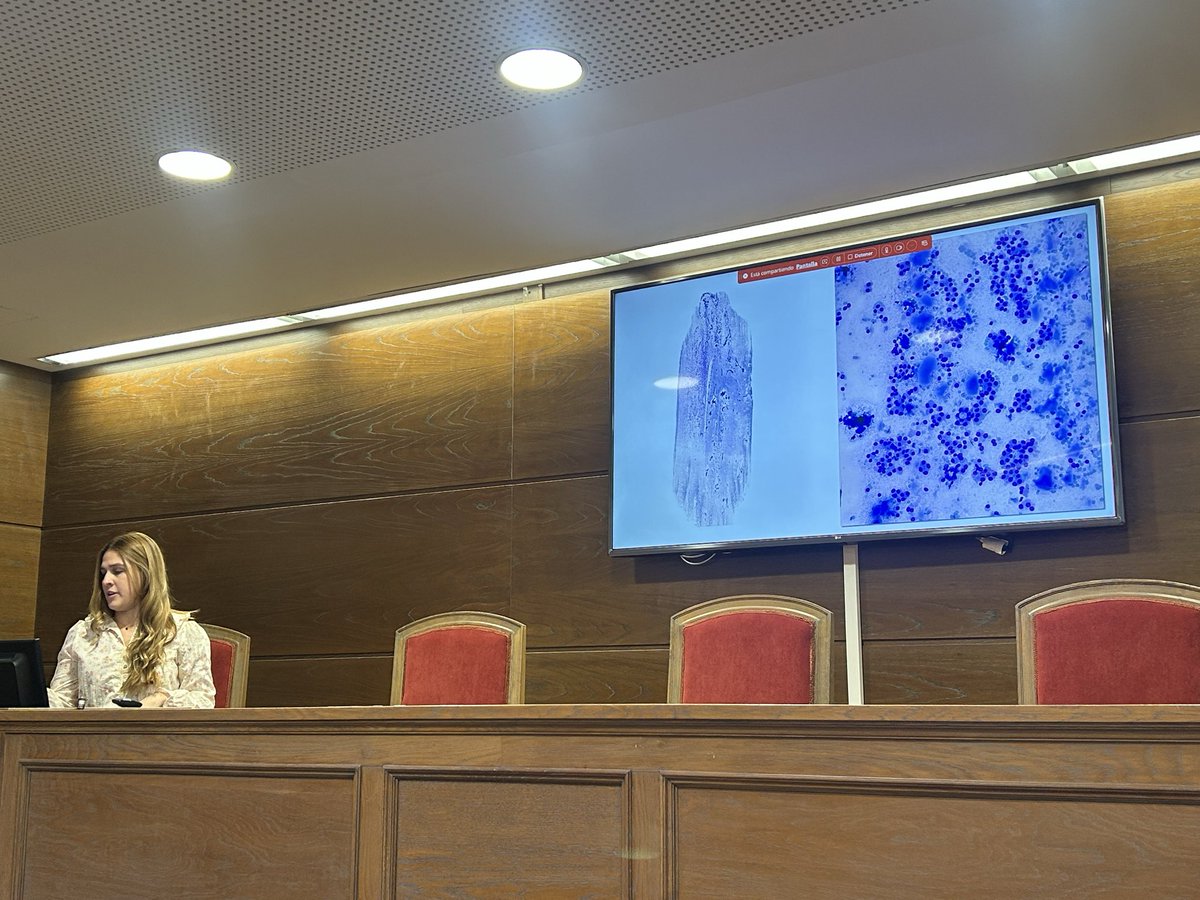 Citopat.CAT tweet media