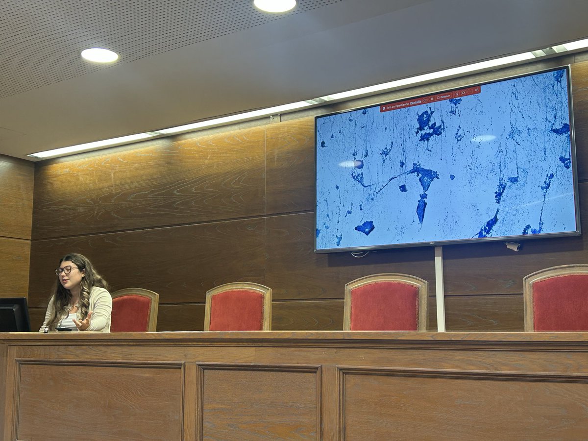 Citopat.CAT tweet media