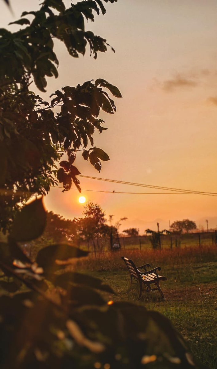 gm mates ☀️

have brightest Thursday ❤