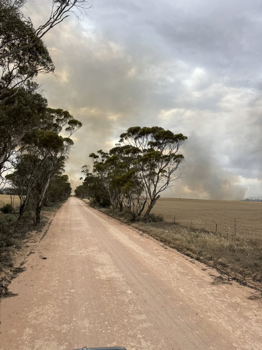 Tim Edwards tweet media