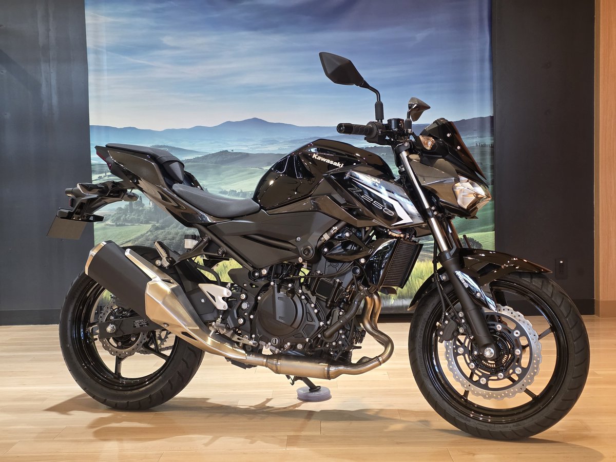 Z250 2026 即納可能車両です！ SUGOMIデザイン、Zの血統がしっかり