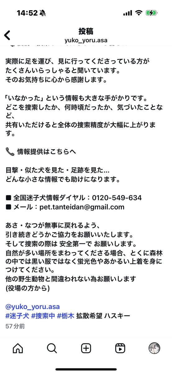 husky_sakura's tweet photo. 友達ハスキーが迷子になりました。。
目撃情報が出たみたいです！！
1日でも早く飼い主さんの元へ。。
拡散お願いいたします！！
前に迷子ちゃんを保護した時2日で飼い主様が現れました！Xの力を信じています。お願いいたします。 https://t.co/DPD8OoITZ8