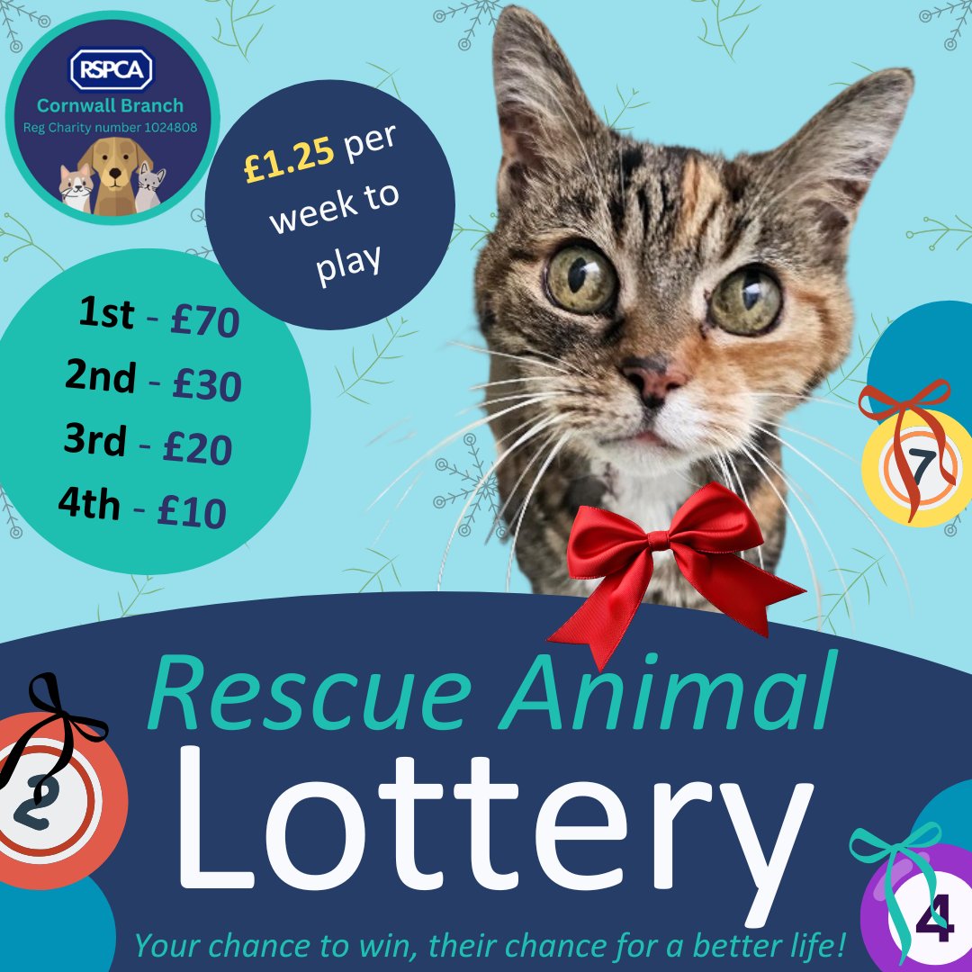 RSPCA Cornwall tweet media