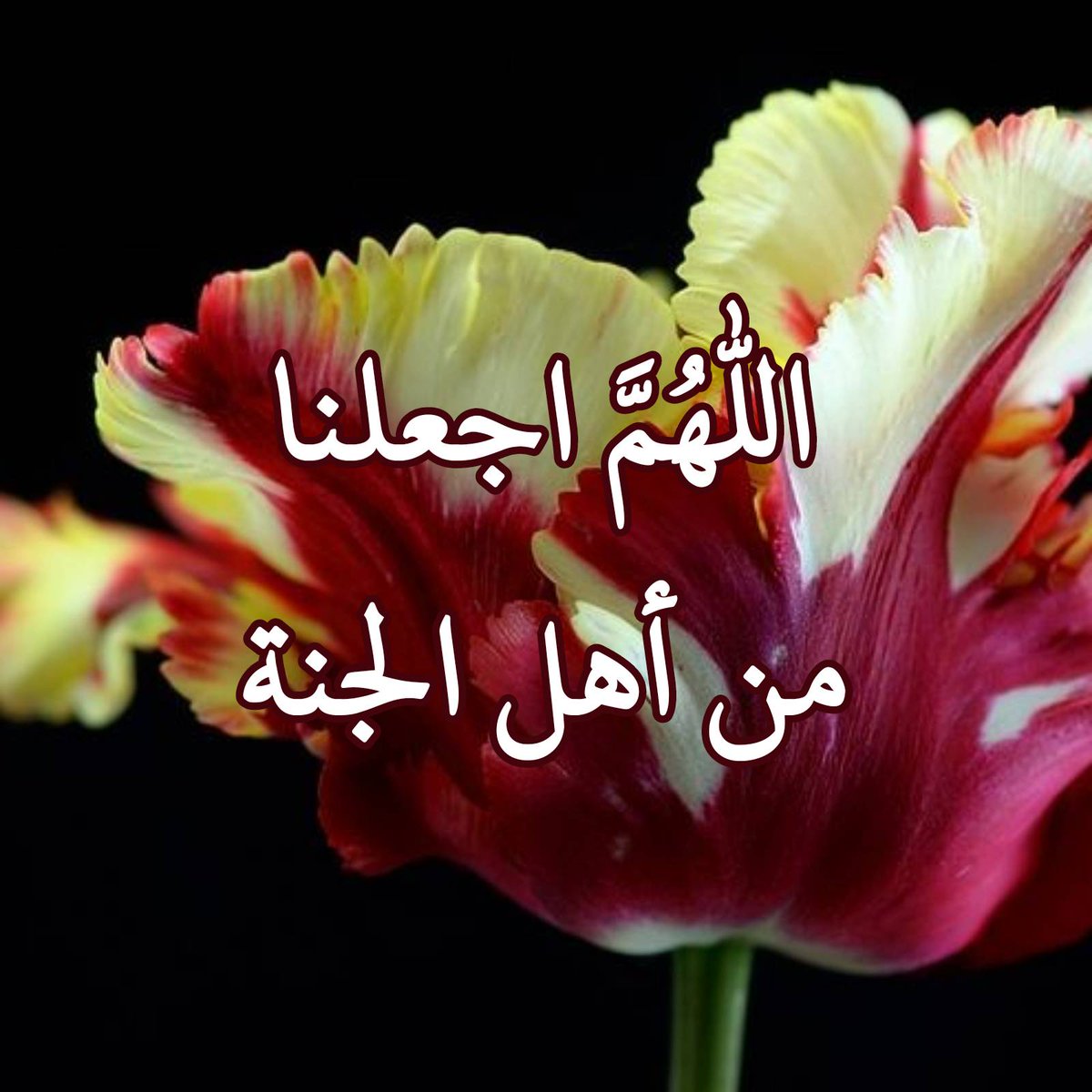 اللهم اجعلنا من أهل الجنة