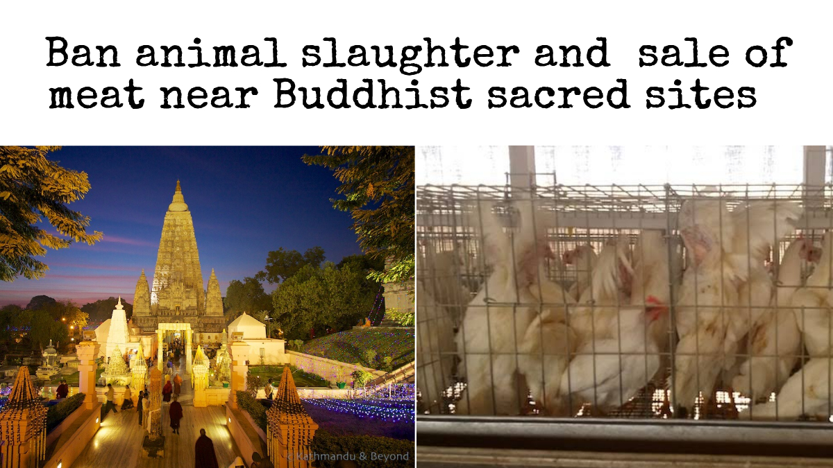 DakiniTranslat1's tweet photo. Please sign and share petition: https://t.co/18wskM6jZ2  #veganism #animalrightsmatter @peta https://t.co/x7kWVnks9T