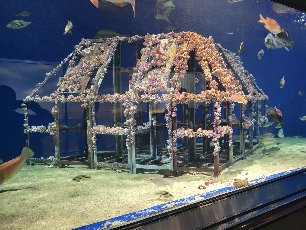 見やすかった～