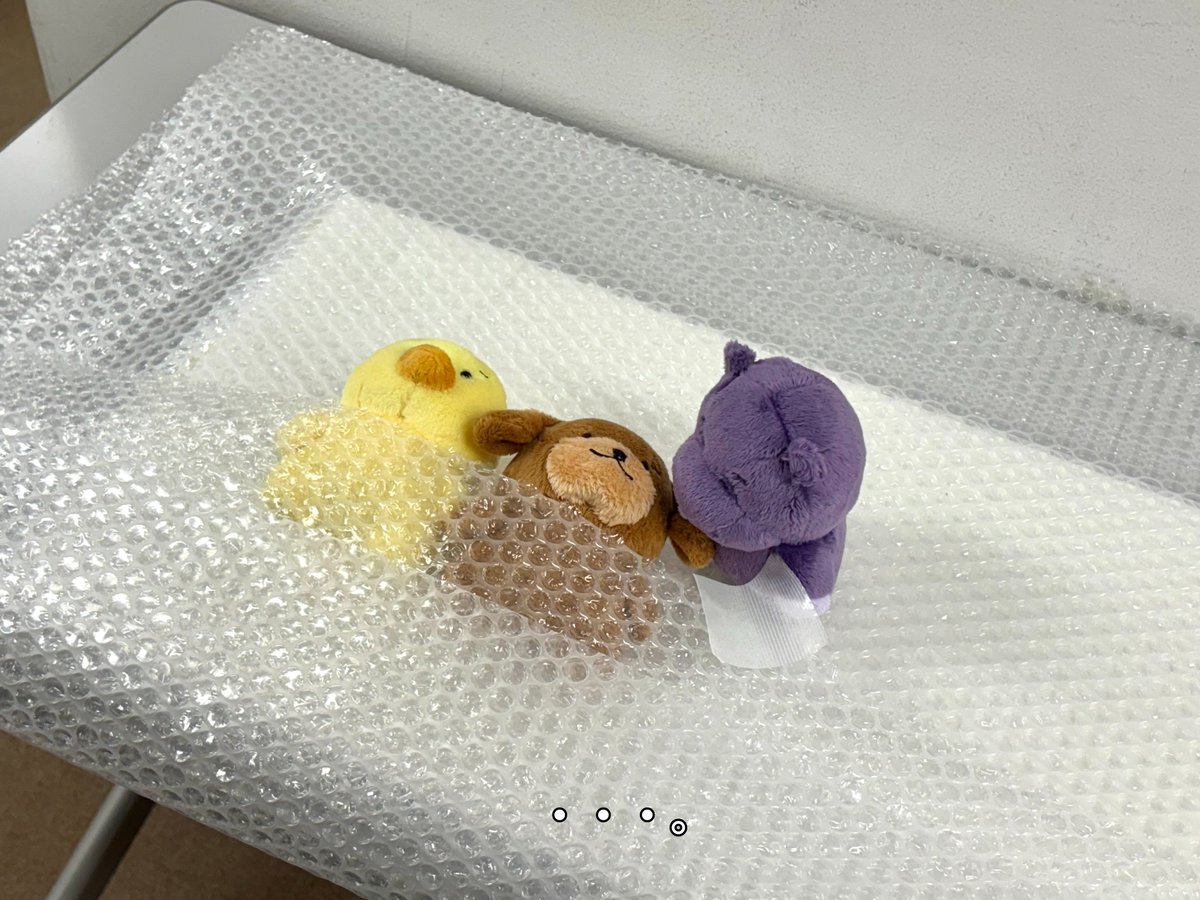 ちびむち tweet media
