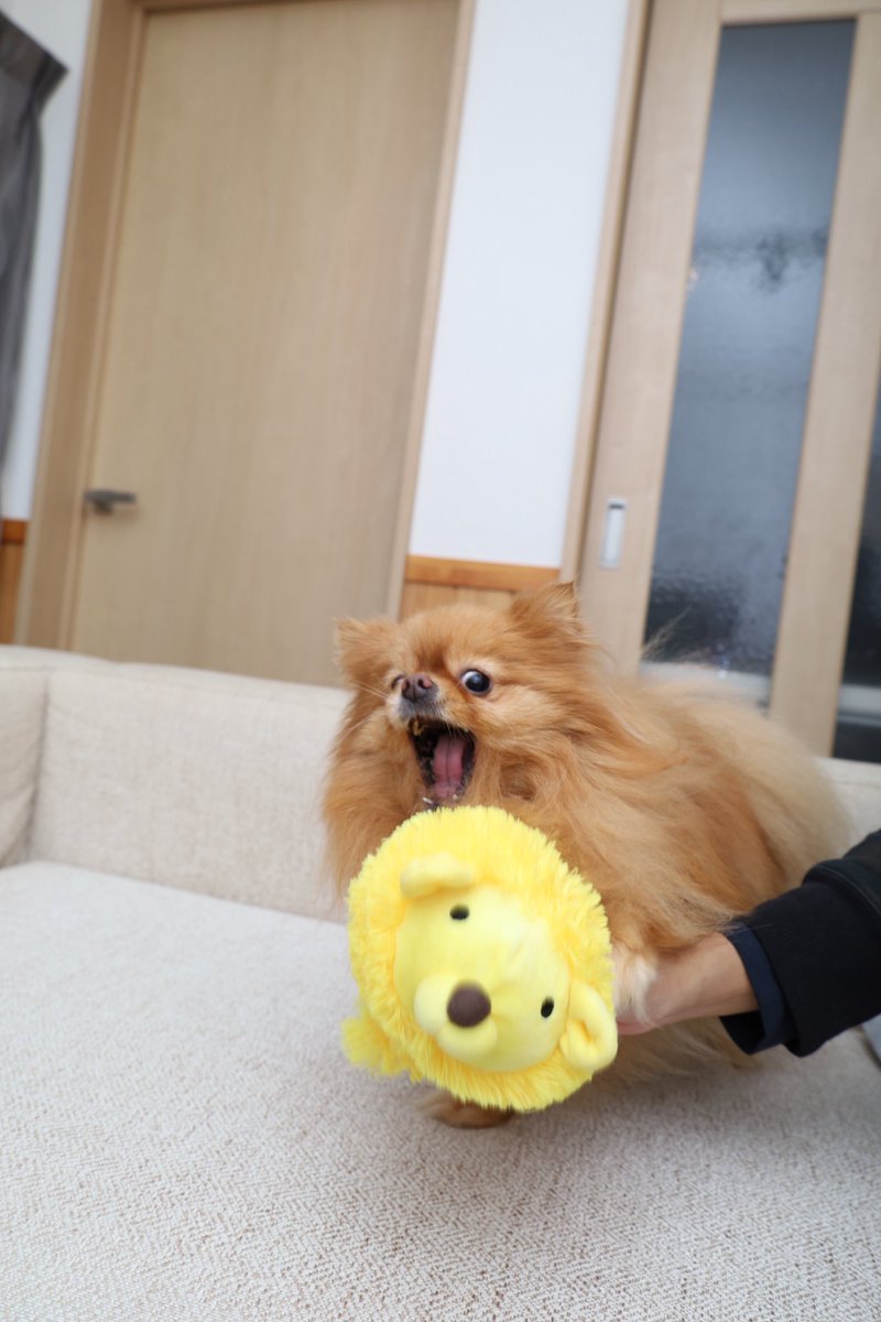 fuchi0111's tweet photo. 指ごといく気ですか？ https://t.co/Vz5iwtRd6j