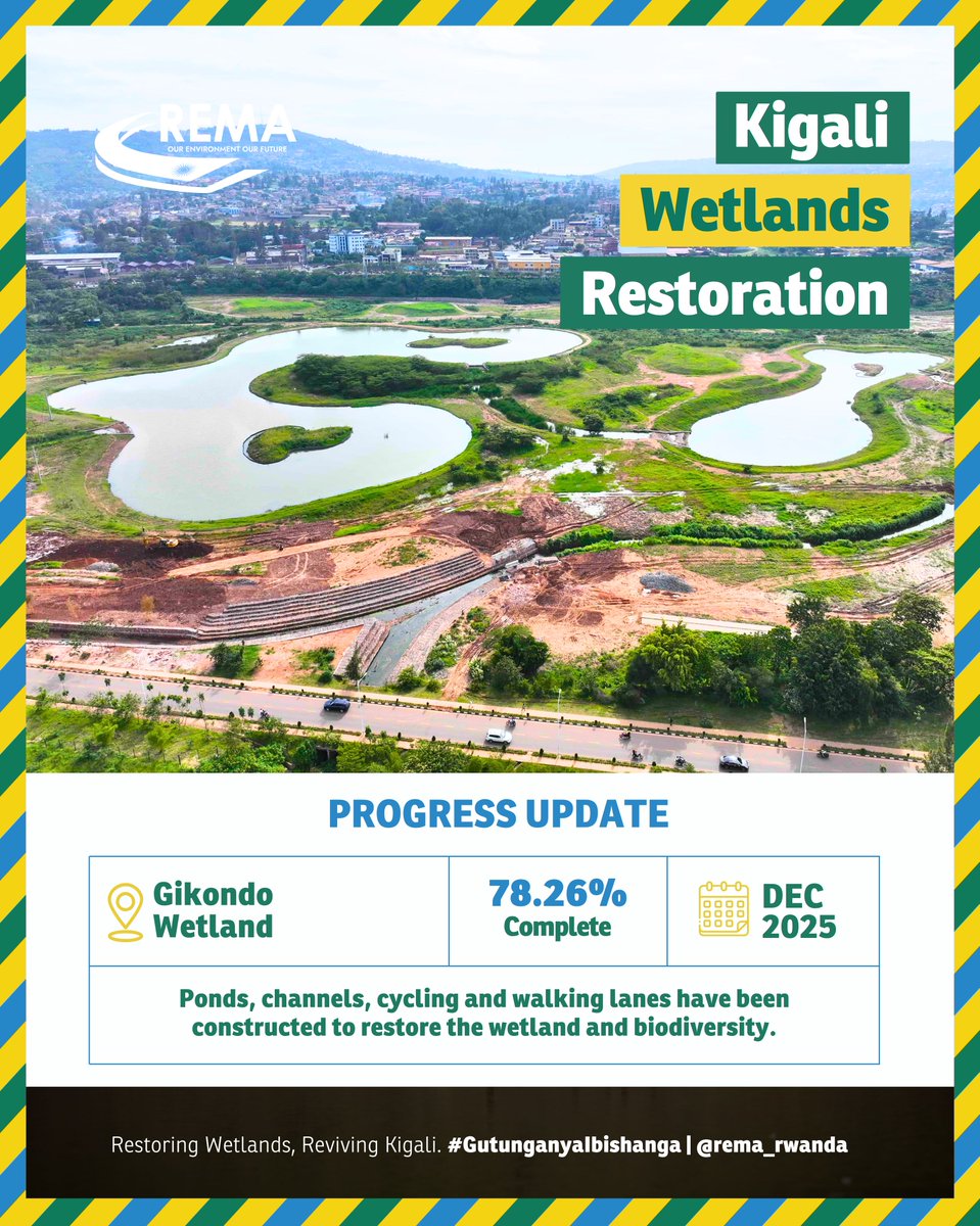 KigaliPark's tweet image. Restoration progress in Gikondo wetland is now at 78%!

This wetland has 4 ponds that play a crucial role in holding running water, slowing its runoff, and protecting the city from flooding.

#GreenRwanda🇷🇼🌿 | #WetlandsRestoration