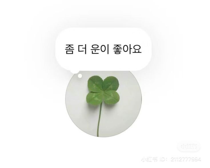 chosing04's tweet photo. ♡ ٩(´▽`)۶ ♡
오늘 운이 좋은것 같아요!
행복하다!! https://t.co/LIfgfAhFDp