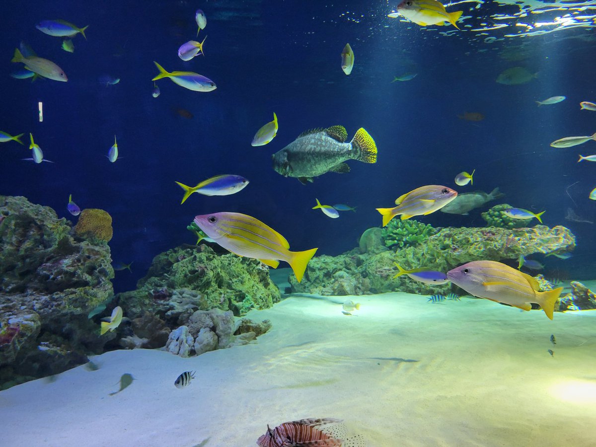 全体的に撮るの好きなんよねぇ。