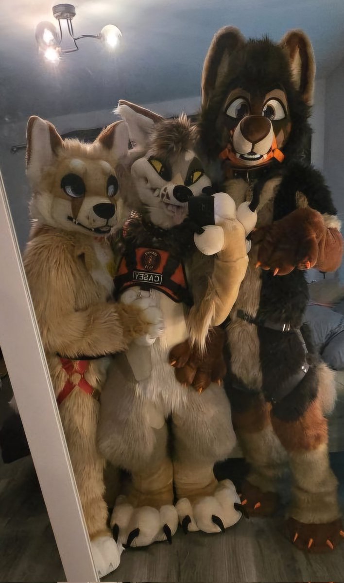 CerriFox's tweet photo. Yote sandwich 🔺️🔺️ https://t.co/CZtHDIQKKJ
