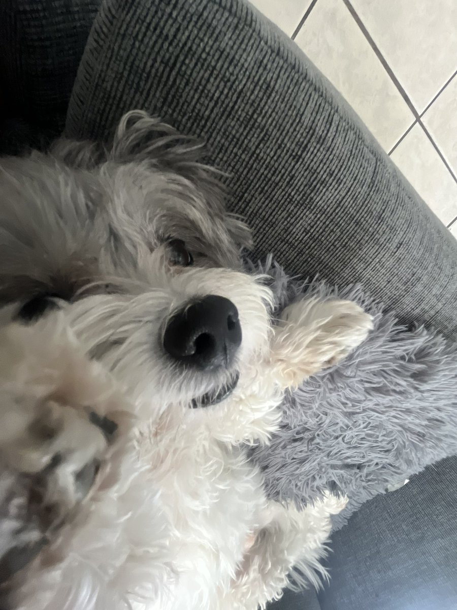 cucumber (@cucumber_r6) on Twitter photo 