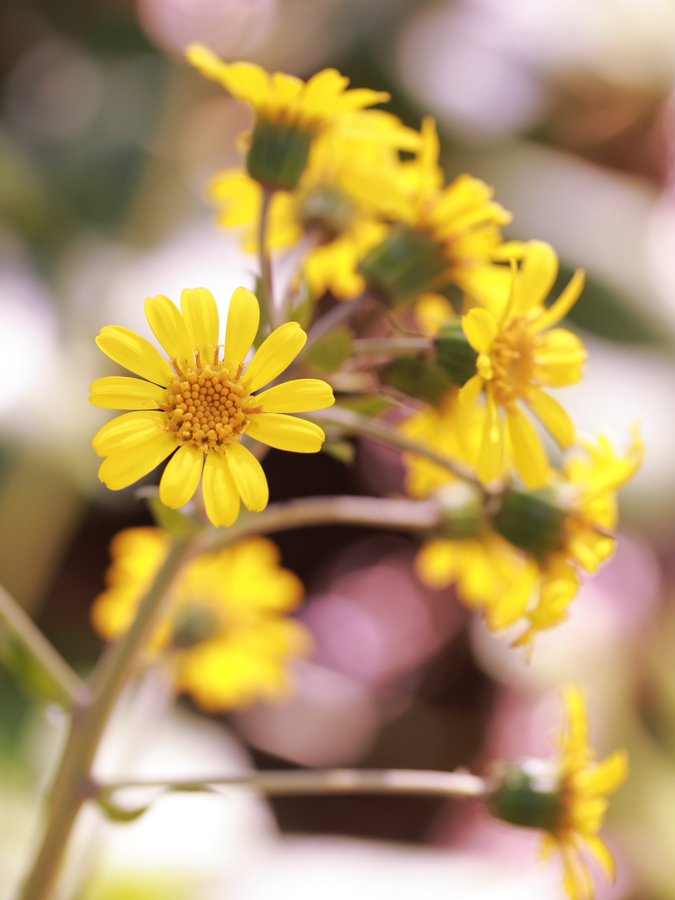 \[V}KWwRXfBAhbgR!!x:ŐV𐏎XV!!