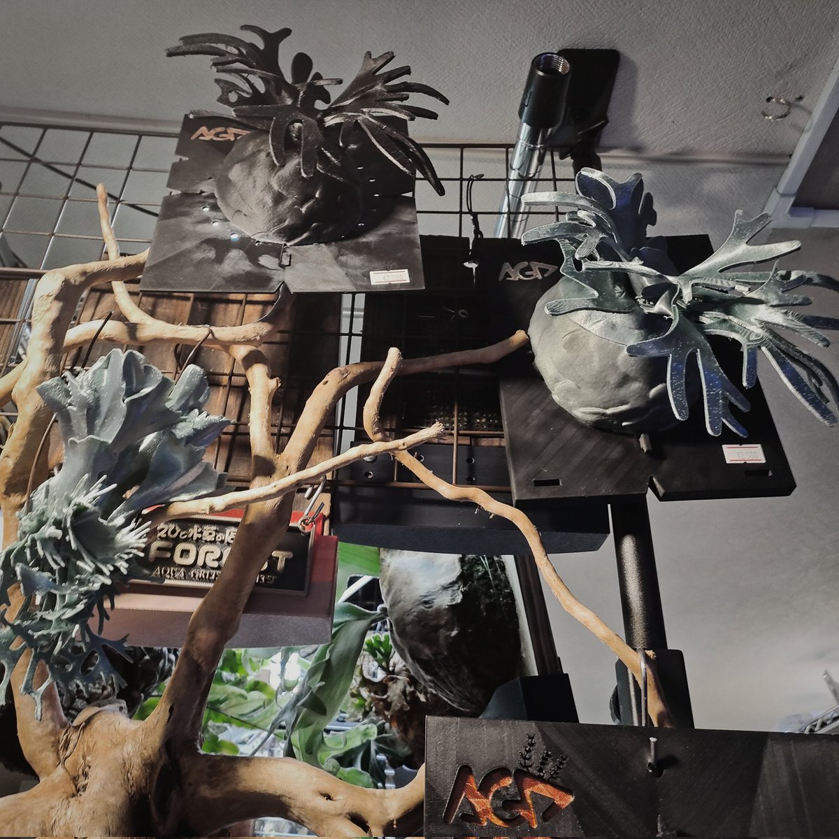 megu⑅﻿ページ megu*☪︎ (@__fw108) / Posts / X