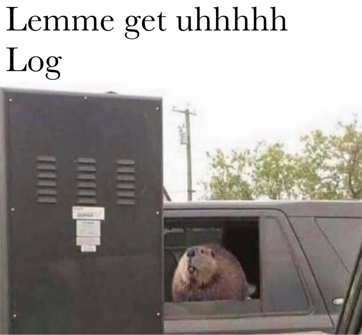 Respectful Memes (@respectfulmemes) on Twitter photo 