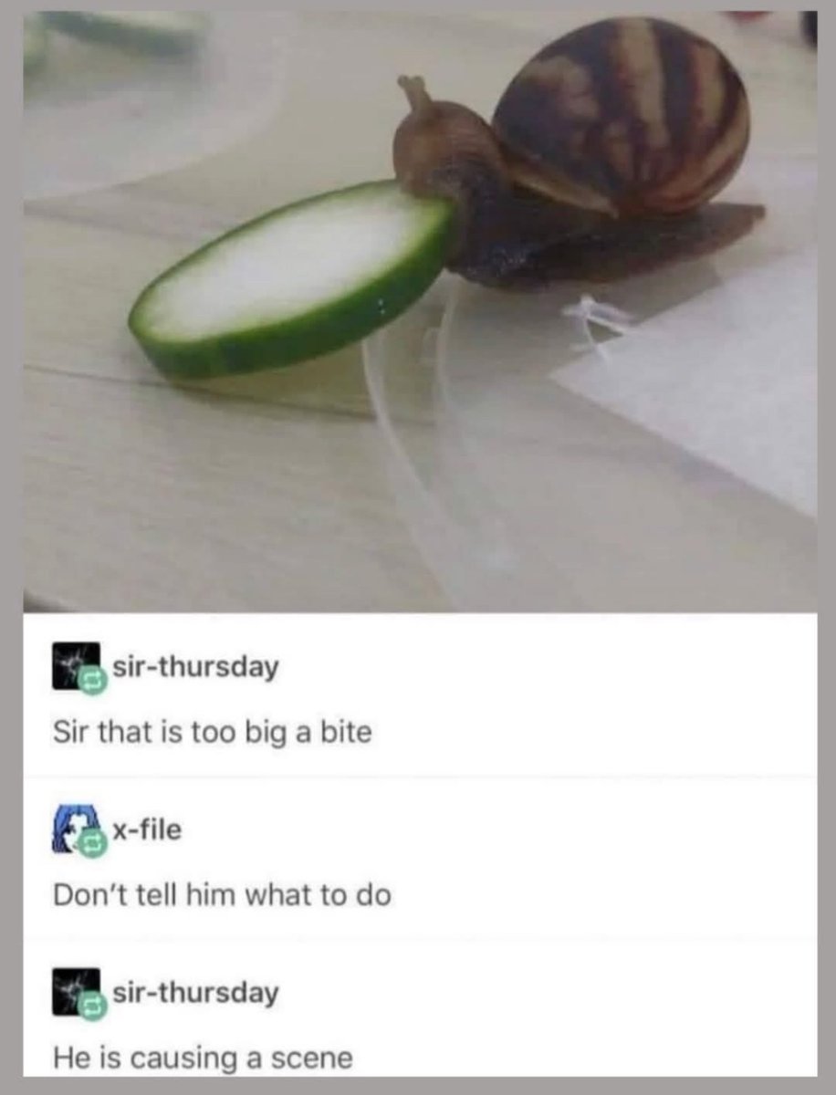 Respectful Memes tweet media