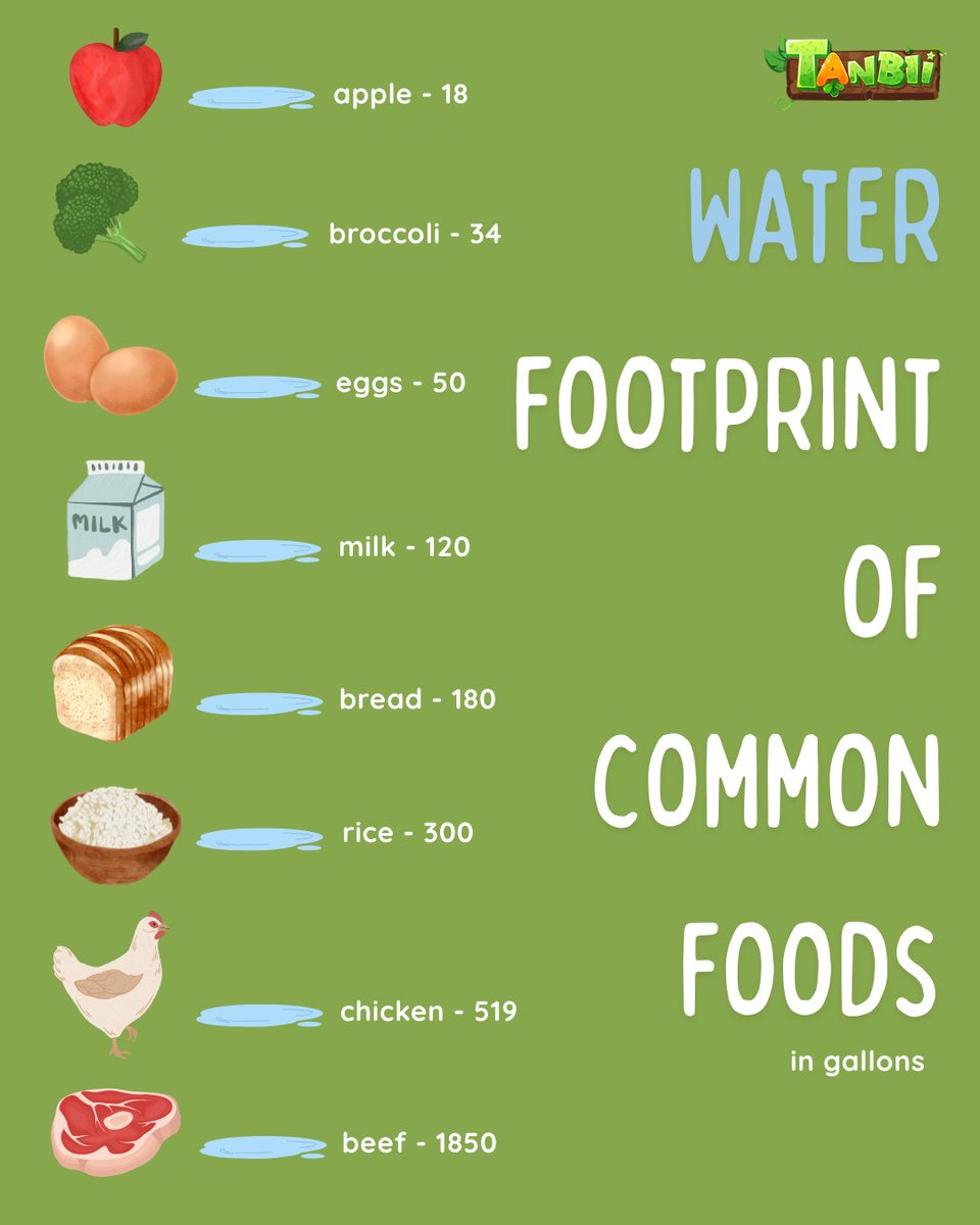 #Tanbii Eco Tip:

🥸Did you know it takes nearly 1,850 gallons of water to produce just one beef steak? 😳

Different foods use very different amounts of water:
🍎 Apple — 18 gal
🥦 Broccoli — 34 gal
🥚 Eggs — 50 gal
🍞 Bread — 180 gal
🍚 Rice — 300 gal
🍗 Chicken — 519 gal
🥩