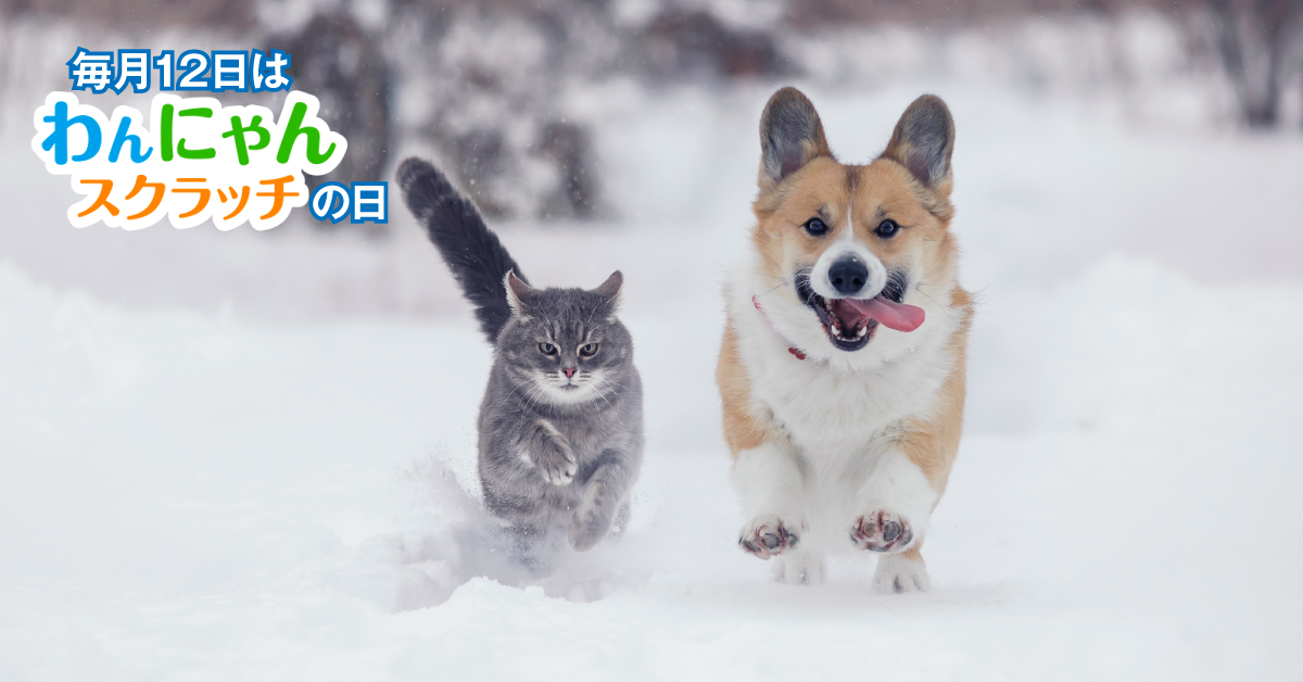 ラスト❣️宝くじブレス✨ 宝くじ公式アカウント (@takarakuji_qoo) / Highlights / X