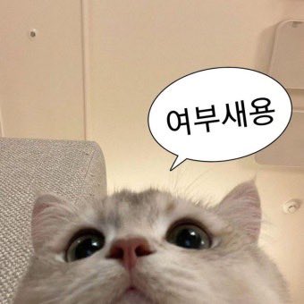 김마늘 tweet media