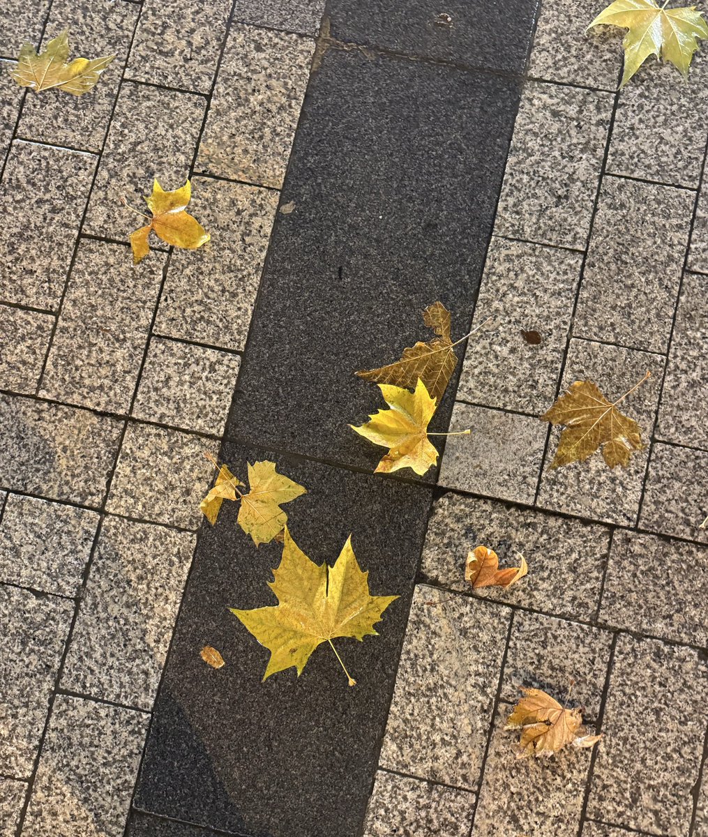 Ahmad Ashkanani tweet media