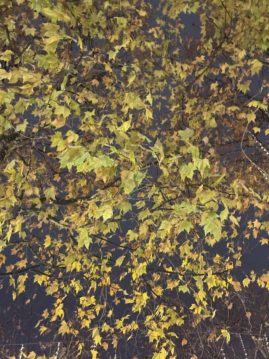 Ahmad Ashkanani tweet media