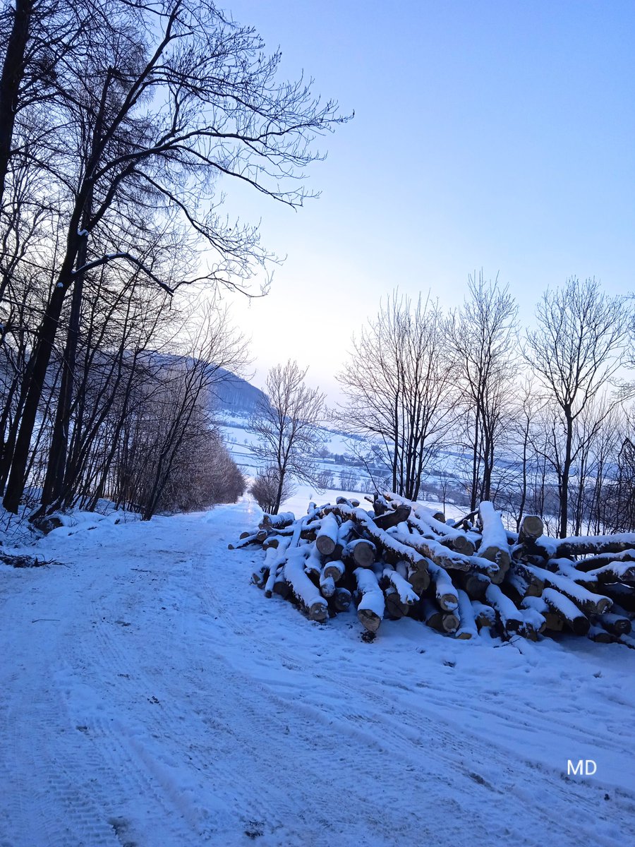 Martina Dvorská (@martinadvorsk2) on Twitter photo 