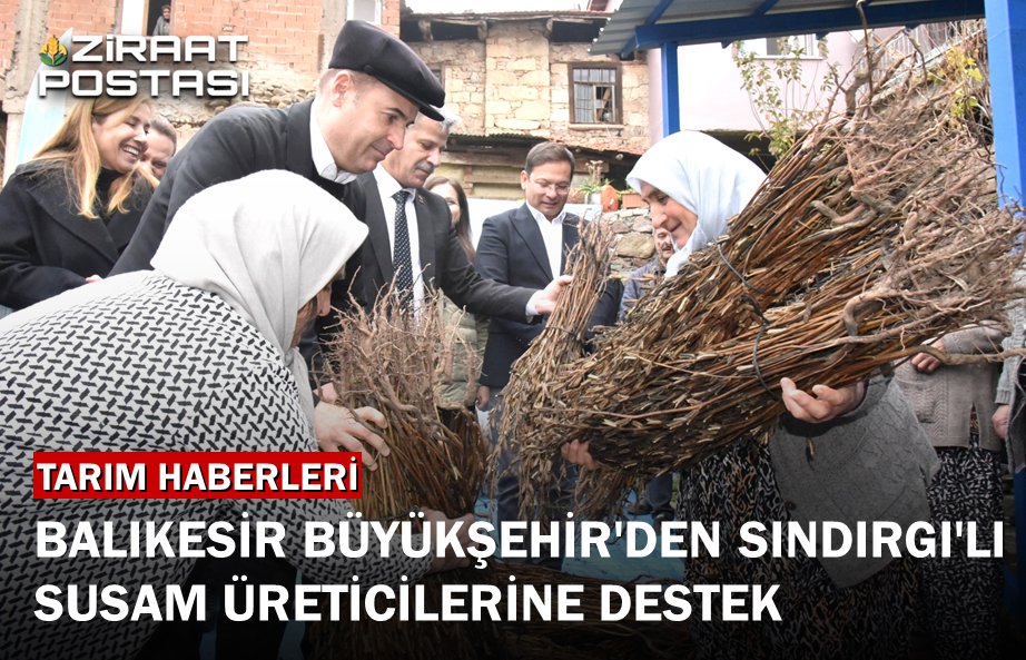 osmanyorulmaz's tweet photo. 🌿 #Balıkesir Büyükşehir Belediye Başkanı Ahmet Akın, Sındırgı’da 2025 #susam alım fiyatını 155 TL olarak açıklayarak üreticiye güçlü bir destek mesajı verdi. 👇👇👇
https://t.co/VfelH2v1hQ https://t.co/DRYwBnXgGN