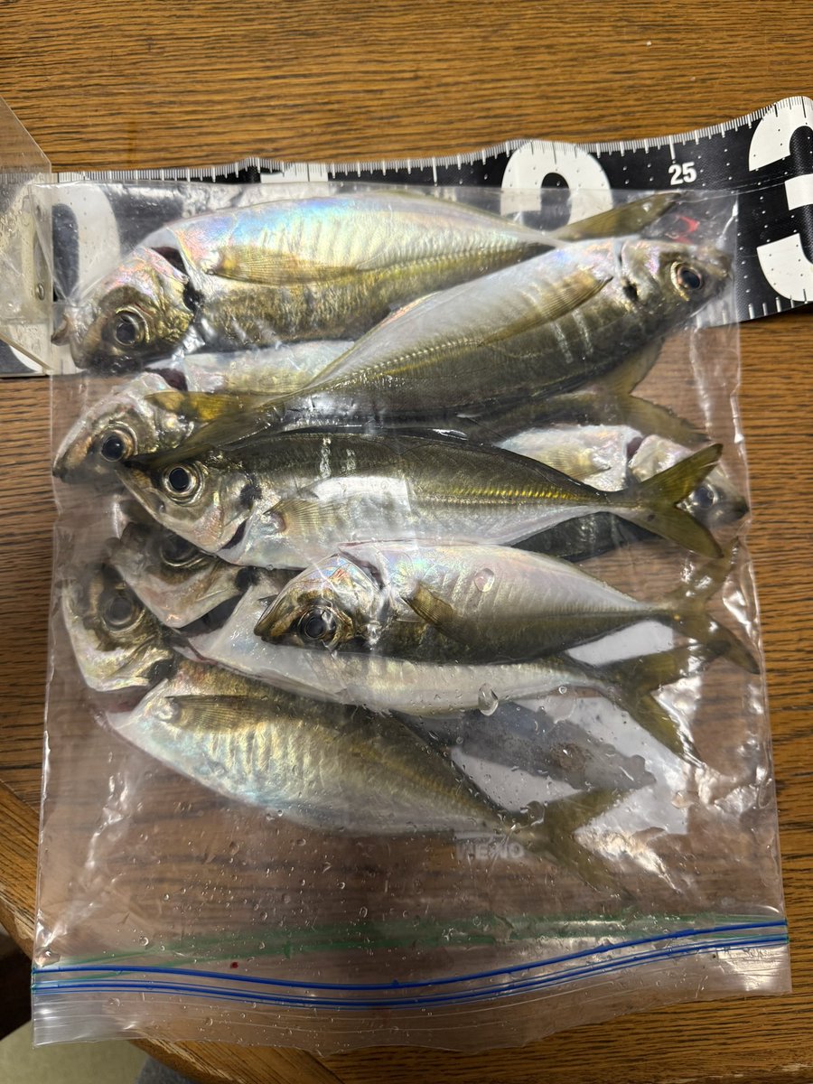 手稲の蒼い流星 tweet media