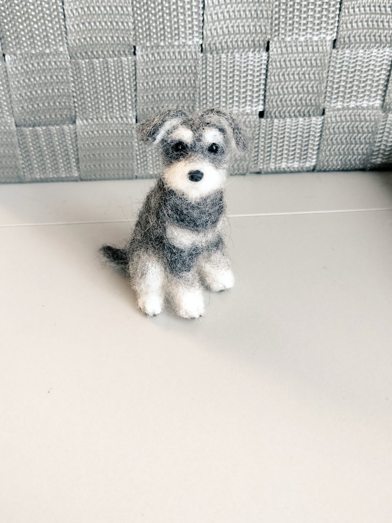 シュナウザー🐕️ もうちょっと頑張ります、、 これから学校の担任と