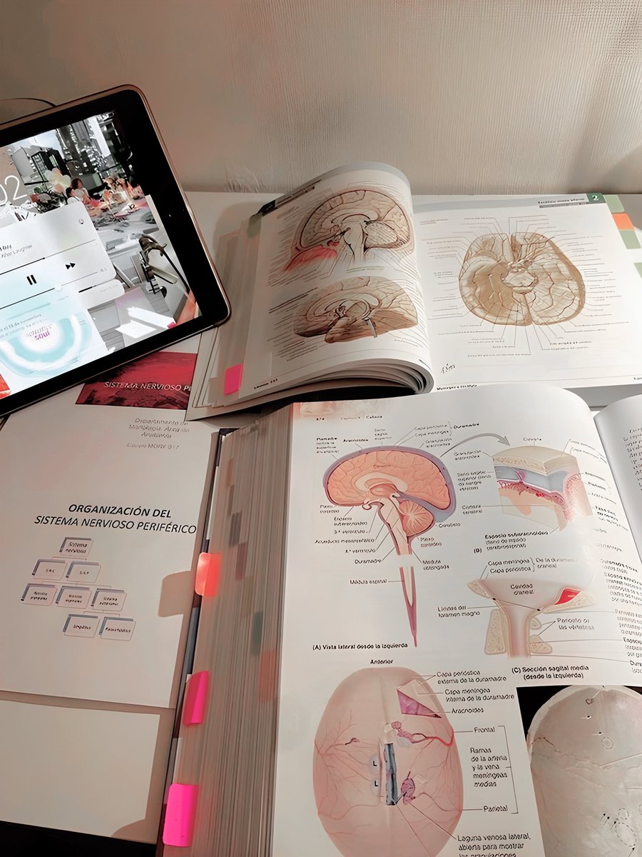 나에게 남은 것은 내 거대한 책들의 회사이다. 적어도 나는 지적인 새끼 고양이야. 🤓