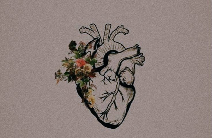 "Üslûp, kalbin yansımasıdır.
Dikenli dil ile gönül okşanmaz."