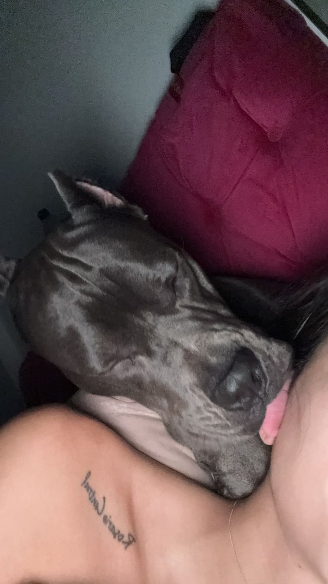 Knotty_vix's tweet photo. Wanna see how naughty. I am with my dog?
Don't hesitate to click on the link below 

https://t.co/ffaWap09r2

#zoofilia #k9 #scat #piss #slut #slave #whore #submassive #anal #torture #bbc #blackcock #cumtribute #cocktribute #porn #blueeye #blonde #gapping #budapest #mom #mutt https://t.co/daLn77RRVW