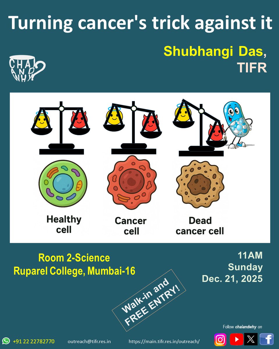 Chai and Why? tweet media