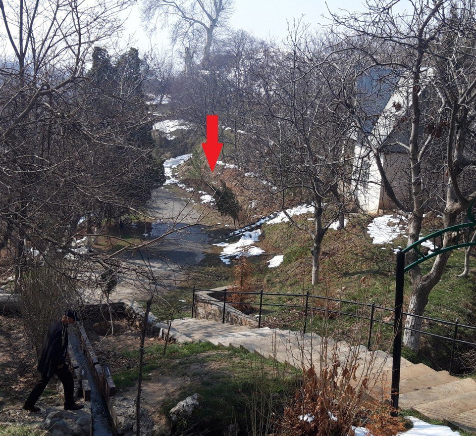 anonymous tweet media