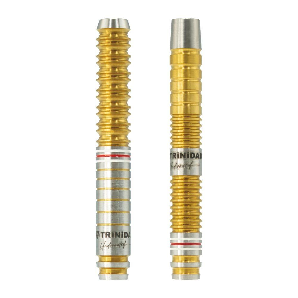 📆予約受付開始！📆 TRiNiDAD Undisputed Gomez Type16 20g/EVO 2BA