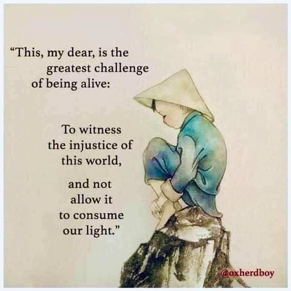 Conscious Being🕊️ tweet media