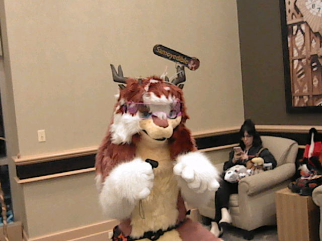 Sammy 'Samoyedible' ! tweet media