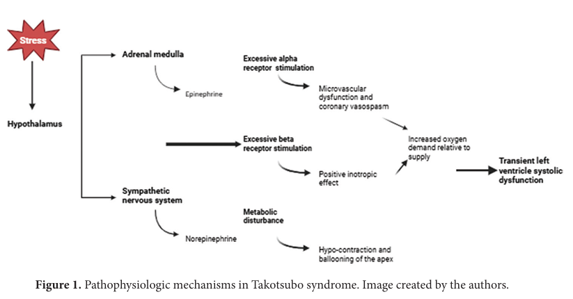 Brain & Heart - ASP tweet media