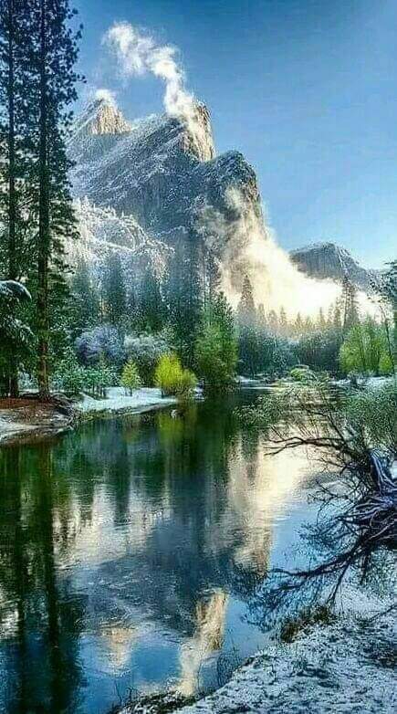 Jutta Streicher 🕊️ tweet media