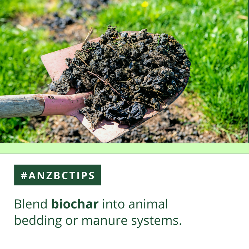 AAnzbig's tweet photo. 🔔 Adding biochar to animal bedding reduces odour, absorbs moisture, and captures nutrients. 

When composted later, it creates a nutrient-rich soil enhancer. It’s a sustainable practice with multiple benefits; for livestock, land, and the environment.

#ANZBIG #Biochar #biochar https://t.co/ZQQZ8svNBJ