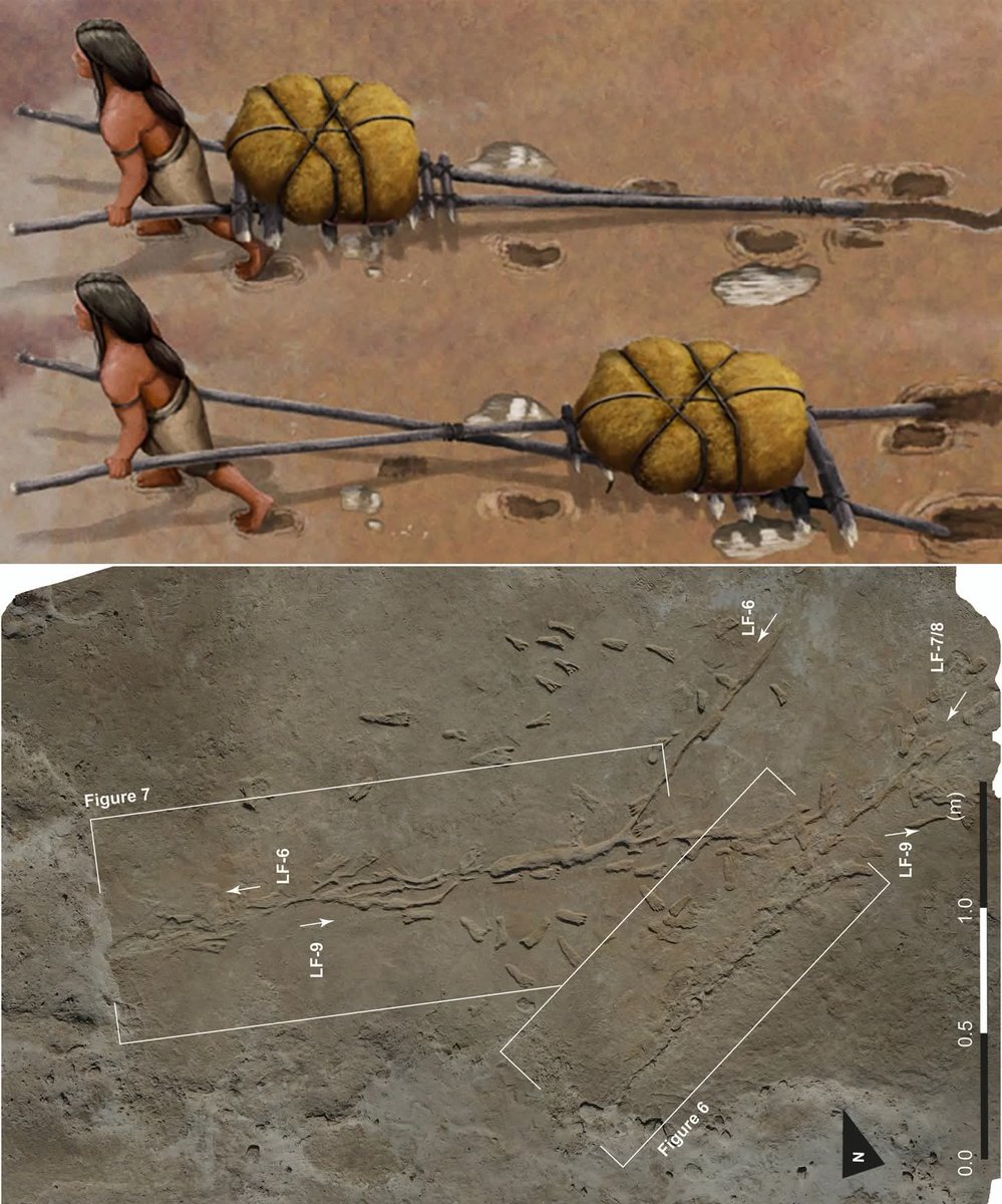 Archaeologists at White Sands National Park in New Mexico have identified 22,000-year-old drag marks preserved in ancient lakebed mud alongside some of the oldest known human footprints in the Americas. The marks are interpreted as evidence of a simple transport device known as a