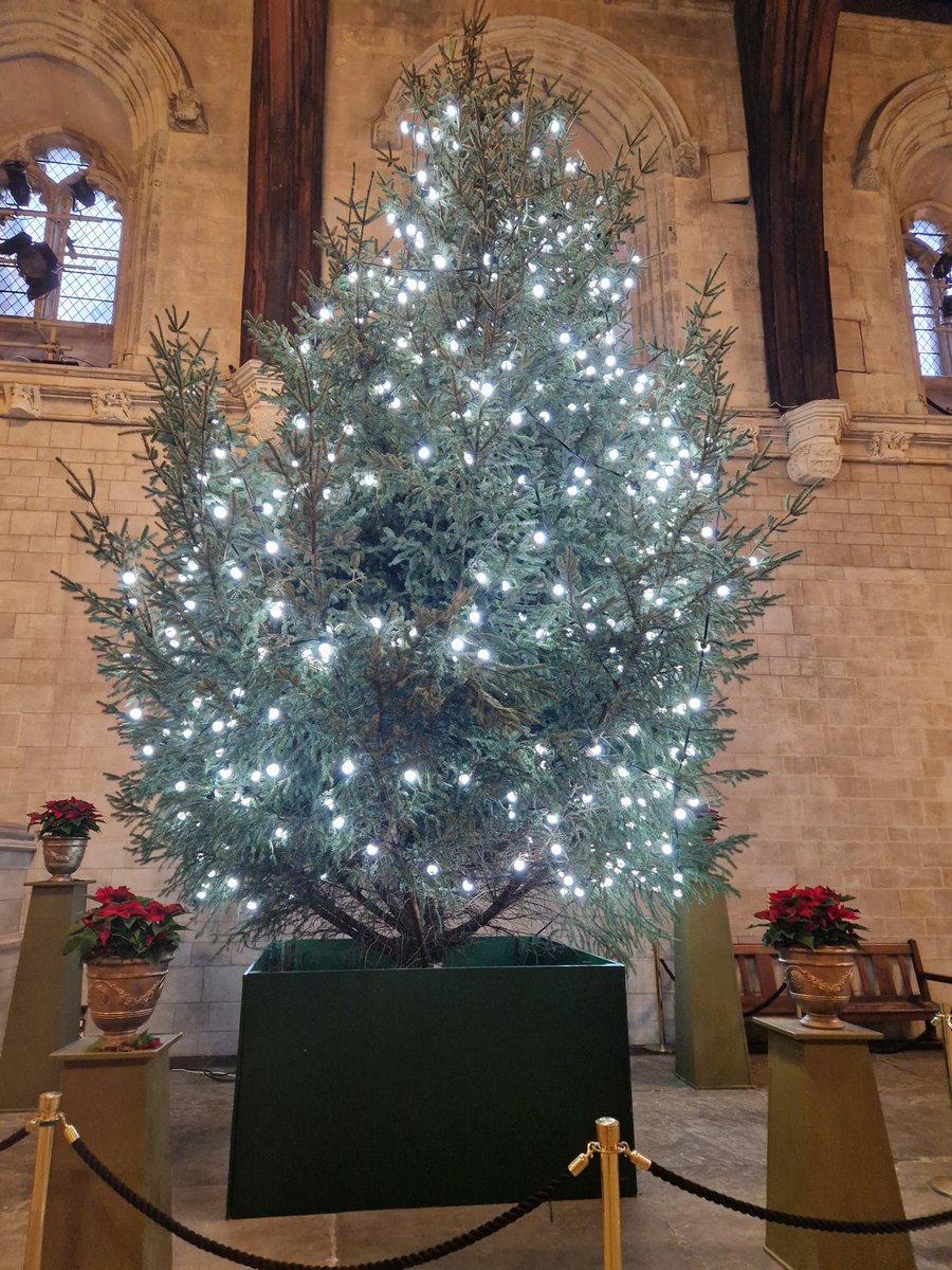 Vicky_Freeman's tweet image. It's the most wonderful time of the year.