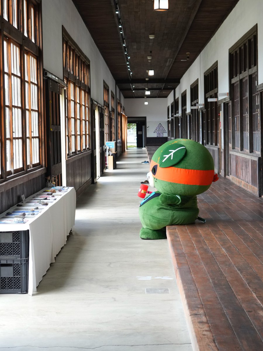 みきゃん【公式】《愛媛県イメージアップキャラクター》 (@micanehime