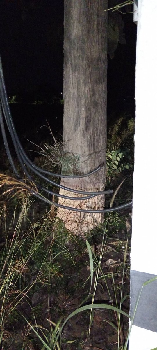 สร้างบ้านในฝันอยู่กลางทุ่งนา เงียบสงบ อากาศดี เพื่อนบ้านน่ารัก มีความสัมพันธ์ที่ดีกับชาวบ้านฝากฝังผู้ใหญ่บ้านและตำรวจท้องที่มาคอยสอดส่องดูแลตลอด  วันก่อนผู้ช่วยผู้ใหญ่บ้านทักมาหาถามว่าเป็นยังไงบ้างส่งทีมช่าง มาเดินสายอินเตอร์เน็ตใหม่เข้าบ้านเมื่อไหร่จะย้ายเข้ามาอยู่ 

เราก็งงๆ