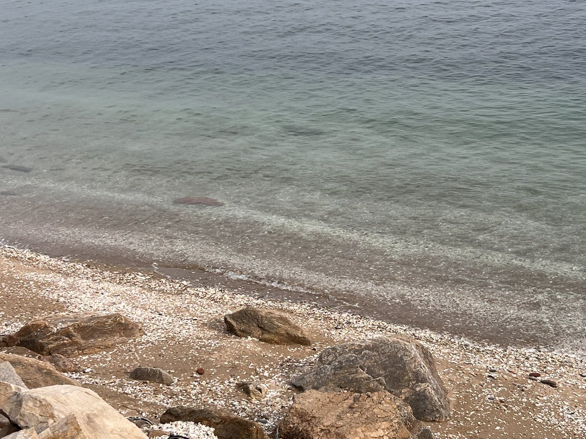 햄싫어 tweet media