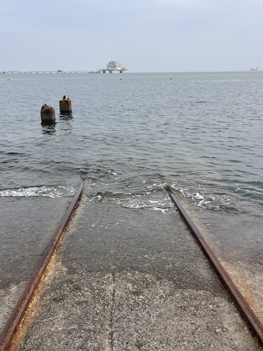 햄싫어 tweet media