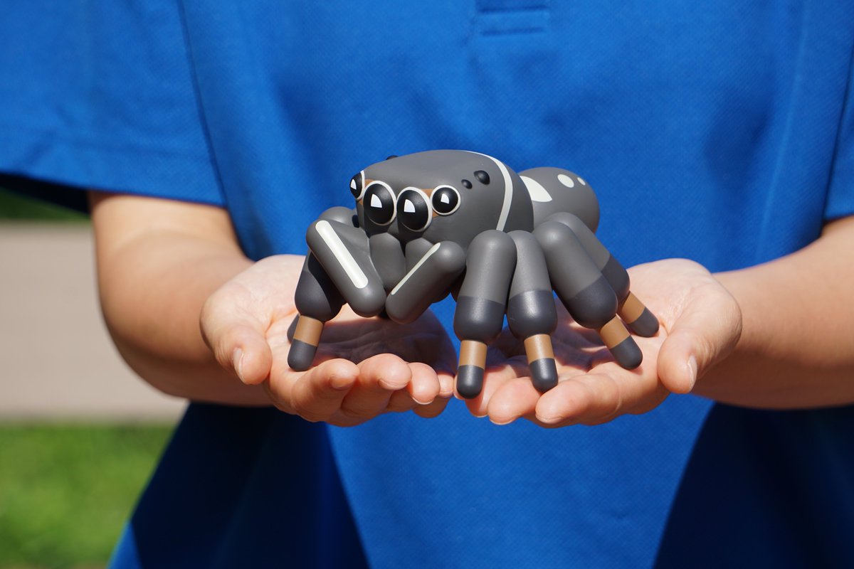 seibutuen_info's tweet image. ＼ハエトリグモとタガメのソフビ／
アダンソンハエトリグモとタガメのソフビが #生物園オンラインショップ でも販売開始！

seibutuen-onlineshop.raku-uru.jp/item-detail/18…

リアルな可愛さのまま洗練されたデザインで、
お家の本棚やデスクの上等、部屋の何処に置いてもしっくりきます。…