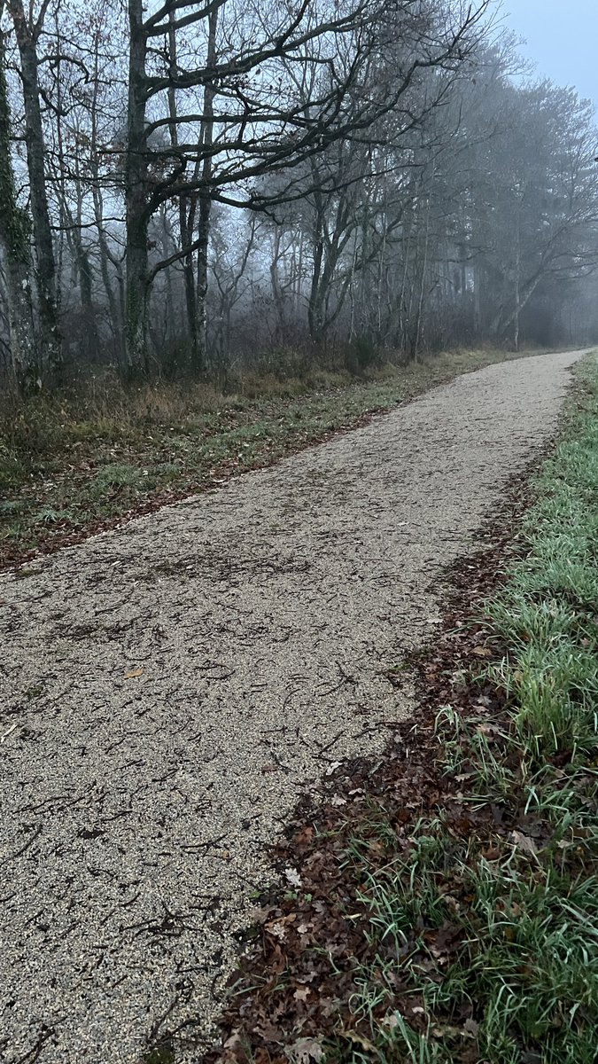 amalmerzouk's tweet image. Even in the fog, each step reveals a little more. Keep moving! clarity follows. 
#France #loire #Vendôme